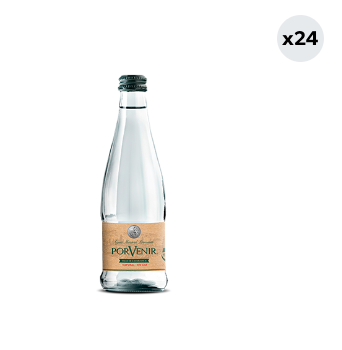 24x Agua Mineral Porvenir Sin Gas 330cc